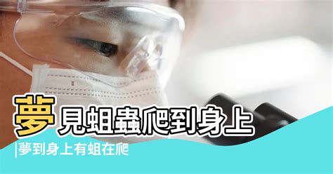 夢到蟲爬到身上